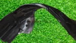 fender_shield_honda_civi_brand_new